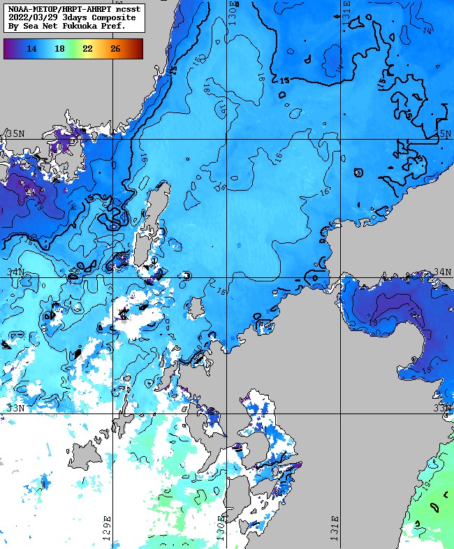 衛星画像(九州 海面水温)